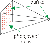 pipojovac oblast