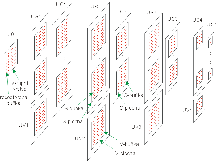 Obr. 7.1 - Struktura st - Buky