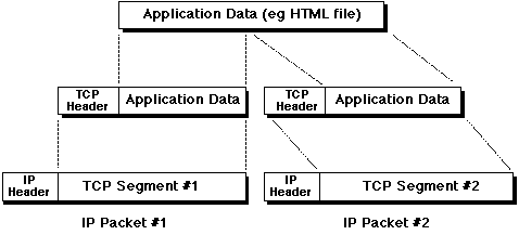 Data/Segment/Packet Encapsulation