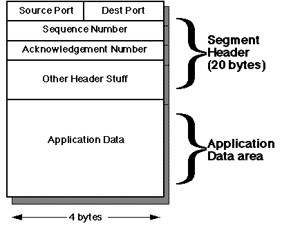 TCP Segment format