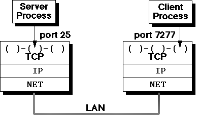 Server and client processes