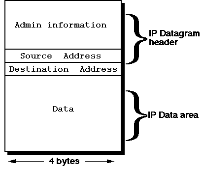 IP datagram format