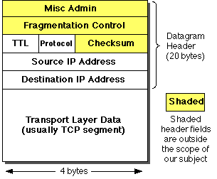 IP datagram format